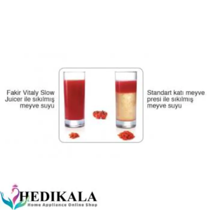 اب میوه گیری 2 سرعته 200وات فکر مدل VITALY