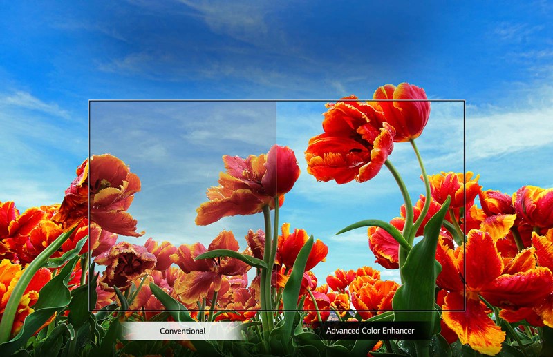 کیفیت تصویر Full HD تلویزیون ال جی 43LM6300