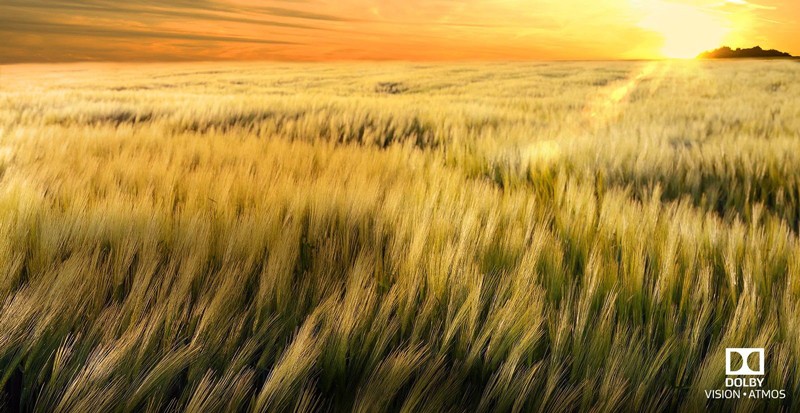سیستم صوتی و امکانات آن در تلویزیون ال جی 55B7