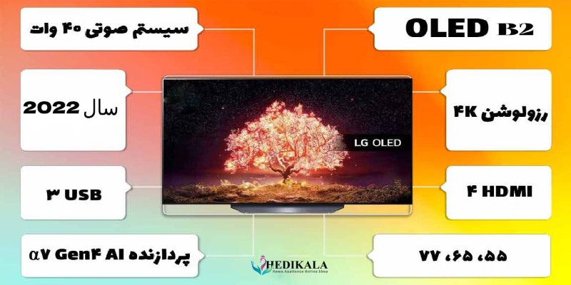 پورت ها و درگاه های ارتباطی در تلویزیون 55 اینچ اولد ال جی LG مدل OLED 55B2