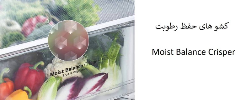 کشو های یخچال فریزر دوقلو ال جی F511 و B514 